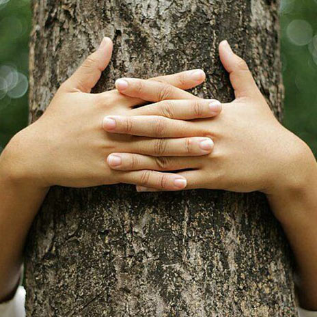 Wöstmann • Möbel Arenz